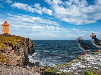 grimsey island lighthouse iceland puffins sea midnight sun arctic-circle grimsey island lighthouse iceland puffins sea midnight sun arctic-circle