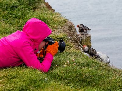 watch your movement while clicking pictures of puffins in iceland watch your movement while clicking pictures of puffins in iceland